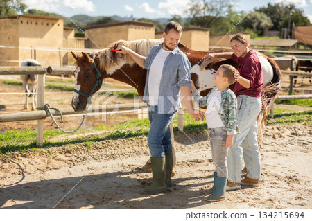 Young man and young woman combing horse Young man and young woman combing horse 134215694