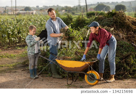 Man woman and boy putting weeds in wheelbarrow 134215698