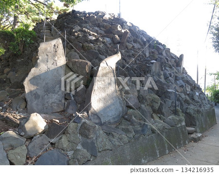 品川區品川神社的藤塚（品川富士） 134216935