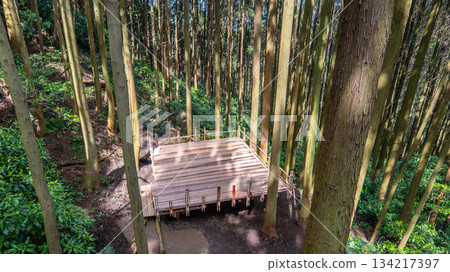山景長椅 山景長椅 134217397