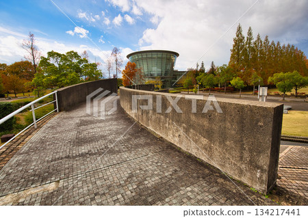 Late Autumn Park 134217441