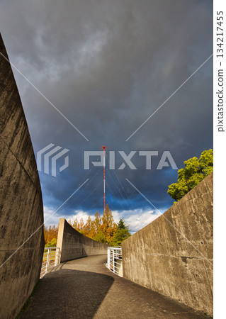 Late Autumn Park 134217455