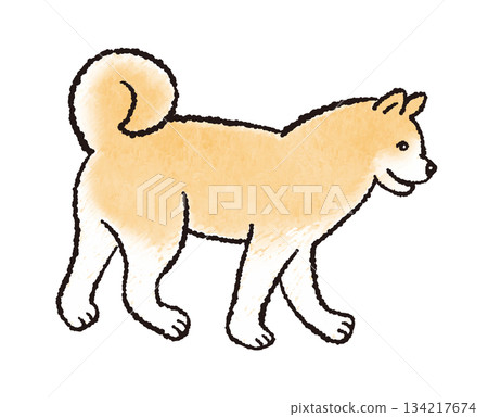 Cute hand-drawn illustration of walking dogs (Shiba Inu and Akita Inu) Cute hand-drawn illustration of walking dogs (Shiba Inu and Akita Inu) 134217674