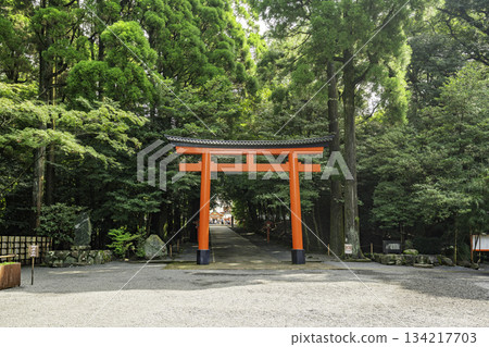 霧島神社鳥居,鹿兒島縣霧島市 霧島神社鳥居,鹿兒島縣霧島市 134217703