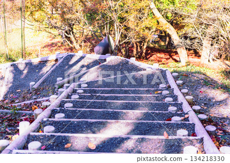 Sakurayama Park Autumn leaves scenery 1-75 134218330