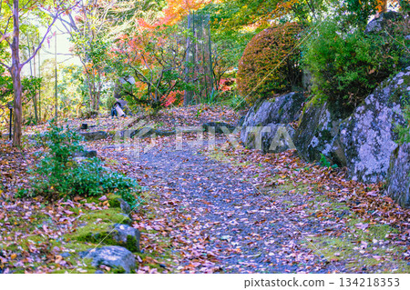 Sakurayama Park Autumn leaves scenery 1-98 Sakurayama Park Autumn leaves scenery 1-98 134218353