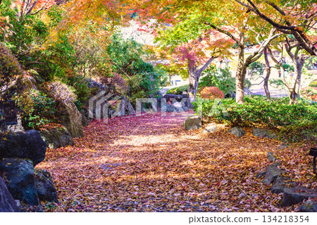 Sakurayama Park Autumn leaves scenery 1-99 Sakurayama Park Autumn leaves scenery 1-99 134218354
