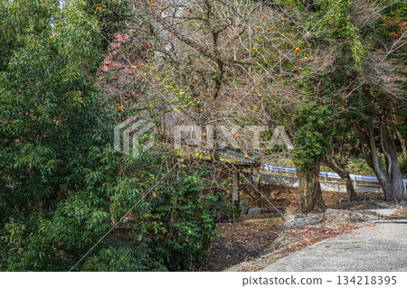 京都府笠木町山區的一棟廢棄房屋 134218395