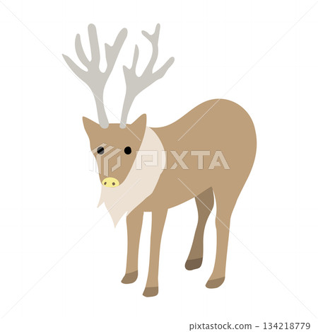 可愛的馴鹿插圖(斜體) 可愛的馴鹿插圖(斜體) 134218779