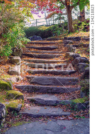 櫻山公園秋葉景色 2-11 櫻山公園秋葉景色 2-11 134218825