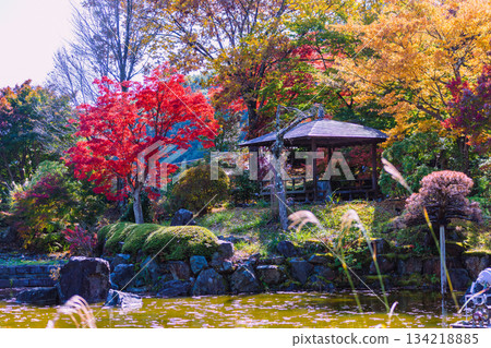 櫻山公園秋葉涼亭 2-37 櫻山公園秋葉涼亭 2-37 134218885