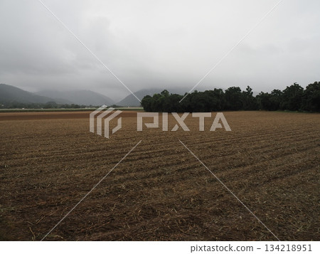 Misty mountains and cultivated land - from the window of the Kuranda Scenic Railway 134218951