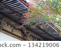 秋葉（修善寺） 134219006