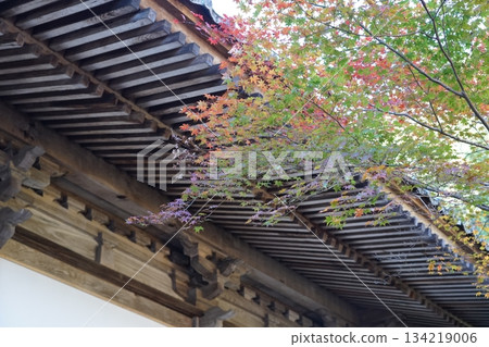 秋葉（修善寺） 134219006