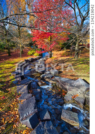 在深秋的公園景觀 134219042