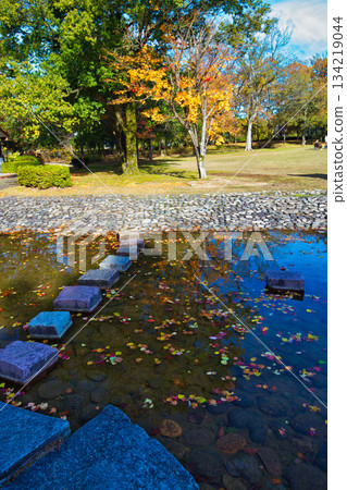 Park landscape in late autumn 134219044
