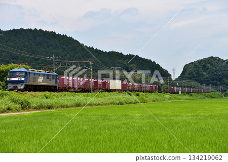 EF210-10 型貨櫃貨運列車正在東海道本線上行駛 134219062