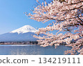 日本的春天富士和櫻花 134219111