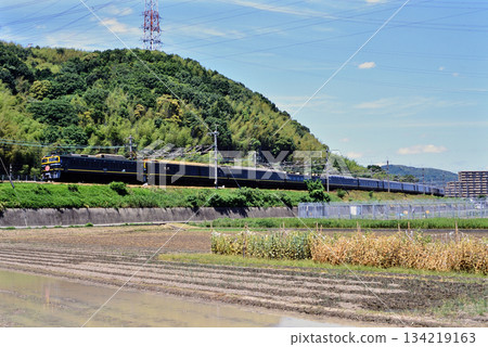 2007年EF8143號暮光特快臥舖列車行駛於東海道本線 134219163