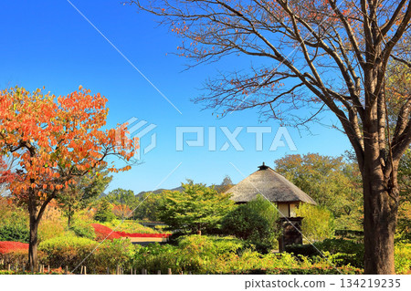 道之湖畔國立公園的秋景 134219235