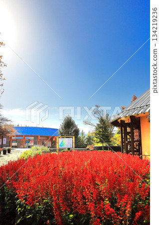 道之湖畔國立公園的秋景 道之湖畔國立公園的秋景 134219236