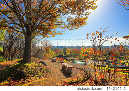 道之湖畔國立公園的秋景 道之湖畔國立公園的秋景 134219242