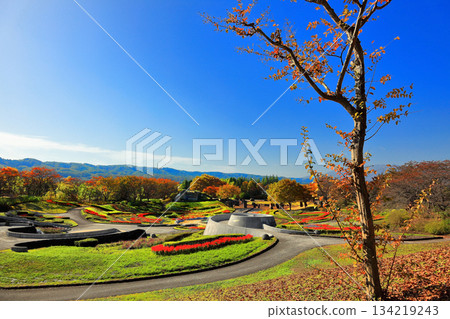 道之湖畔國立公園的秋景 134219243