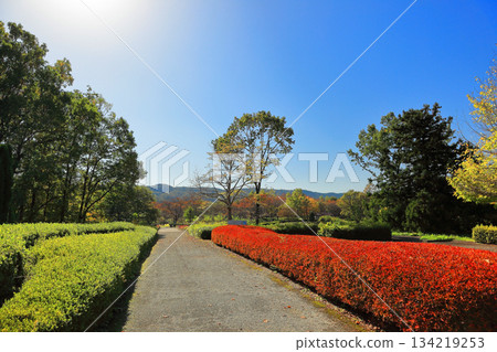 道之湖畔國立公園的秋景 134219253
