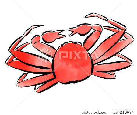 Crab brush stroke watercolor illustration Crab brush stroke watercolor illustration 134219684