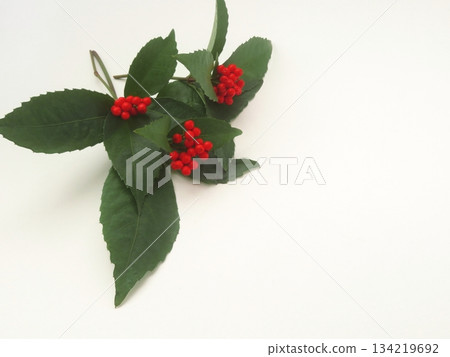 Thousands of people Thousands of people 134219692