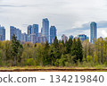 High rise cityscape with nature park reserve in front and overcasted sky background. High rise cityscape with nature park reserve in front and overcasted sky background. 134219840