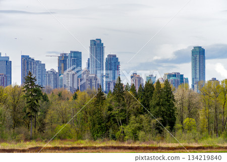 High rise cityscape with nature park reserve in front and overcasted sky background. High rise cityscape with nature park reserve in front and overcasted sky background. 134219840
