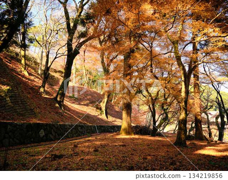 Nara Prefecture Autumn leaves Nara Prefecture Autumn leaves 134219856