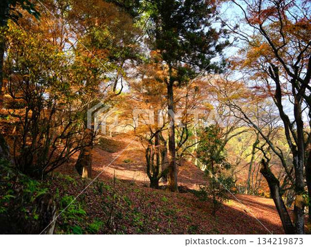 Nara Prefecture Autumn leaves Nara Prefecture Autumn leaves 134219873