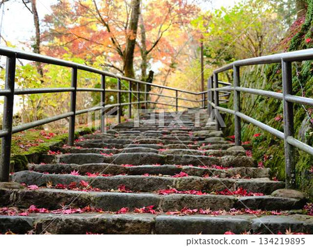 Nara Prefecture Autumn leaves Nara Prefecture Autumn leaves 134219895