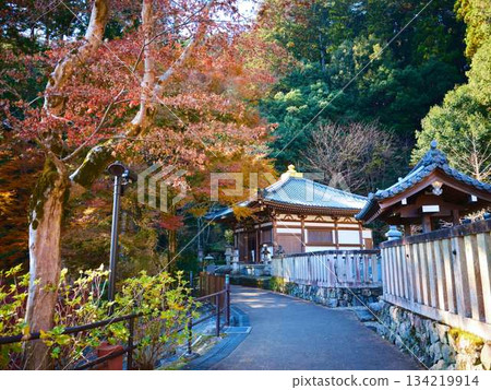 奈良縣秋葉 134219914