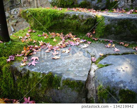 Nara Prefecture Autumn leaves Nara Prefecture Autumn leaves 134219942
