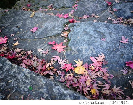 Nara Prefecture Autumn leaves Nara Prefecture Autumn leaves 134219943