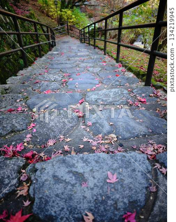 奈良縣秋葉 奈良縣秋葉 134219945