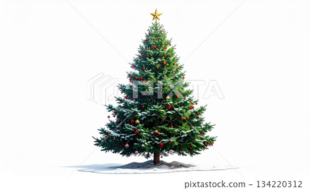 Christmas tree isolated on white Christmas tree isolated on white 134220312
