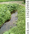 以鎌倉時代傳說命名的泉水：岩手縣花捲市笹間郡茂水 134220408