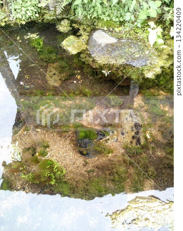 岩手縣花捲市筱間郡鎌倉時代傳說中的泉水“茂清水泉” 134220409