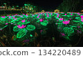 Colorful illumination 134220489