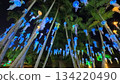 Jellyfish floating in the night sky 134220490