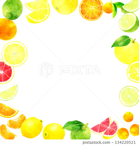 Fresh citrus frame Hand-drawn watercolor illustration of fruits 134220521