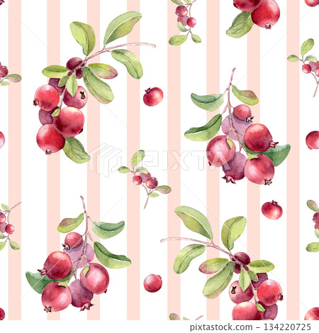 Lingonberry watercolor on stripped seamless pattern isolated on. Hand drawn branches with red berries on paintbrush lines repeated texture. Botanical motif on stripes for fabric design, backdrop. Lingonberry watercolor on stripped seamless pattern isolated on. Hand drawn branches with red berries on paintbrush lines repeated texture. Botanical motif on stripes for fabric design, backdrop. 134220725