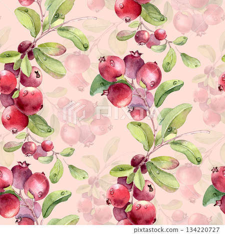 Seamless forest berries watercolor pattern isolated on soft pink. Watercolor cranberry branches lingonberry hand painted. Repeat botanical vibrant background for fabric and textile. Cowberry print. Seamless forest berries watercolor pattern isolated on soft pink. Watercolor cranberry branches lingonberry hand painted. Repeat botanical vibrant background for fabric and textile. Cowberry print. 134220727