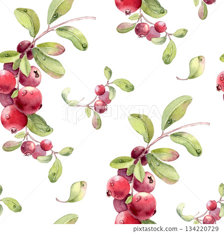 Watercolor lingonberry and cranberry seamless pattern on white. Hand drawn berry fruit illustration with green leaves and dewdrop for botanical repeat background. Summer print of fresh red berries. Watercolor lingonberry and cranberry seamless pattern on white. Hand drawn berry fruit illustration with green leaves and dewdrop for botanical repeat background. Summer print of fresh red berries. 134220729