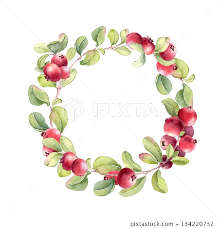 Cranberry wreath on white background. Watercolor illustration of fresh red berry fruit hand painted. Lingonberry drawing for food packaging, label, or recipe card design. Frame of fresh vibrant ripe. Cranberry wreath on white background. Watercolor illustration of fresh red berry fruit hand painted. Lingonberry drawing for food packaging, label, or recipe card design. Frame of fresh vibrant ripe. 134220732