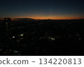 Night view from Tokyo Metropolitan Government Office 134220813